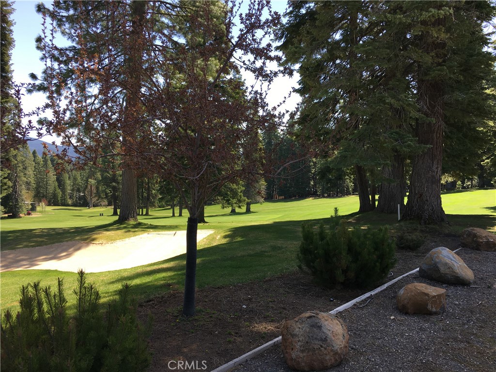 716 Conifer Property Photo 7