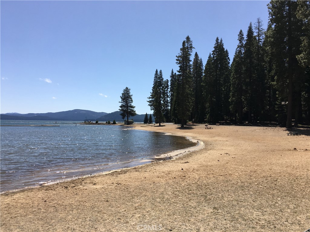 716 Conifer Property Photo 8