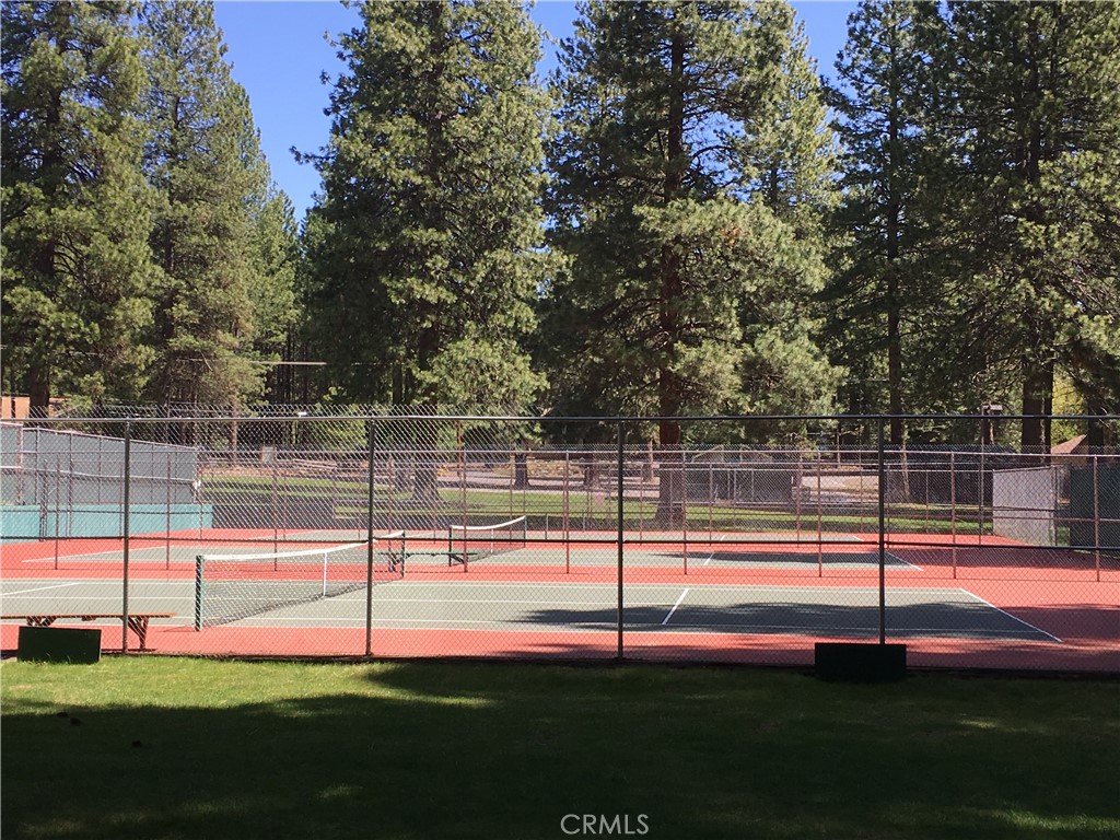 716 Conifer Property Photo 10