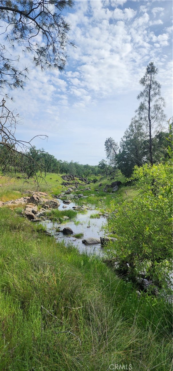 0 Daly Property Photo 1