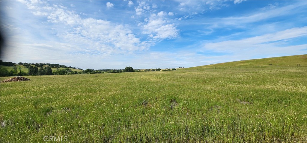 0 Daly Property Photo 3