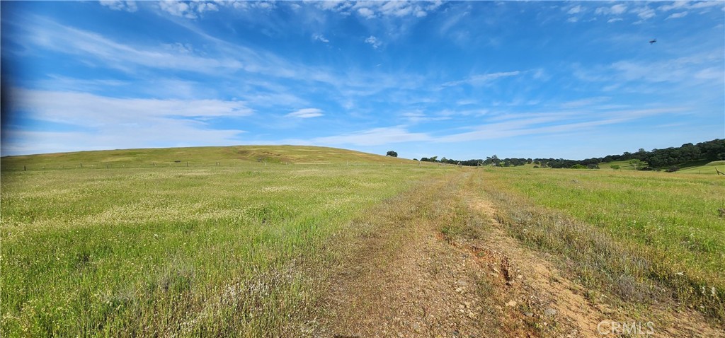 0 Daly Property Photo 4