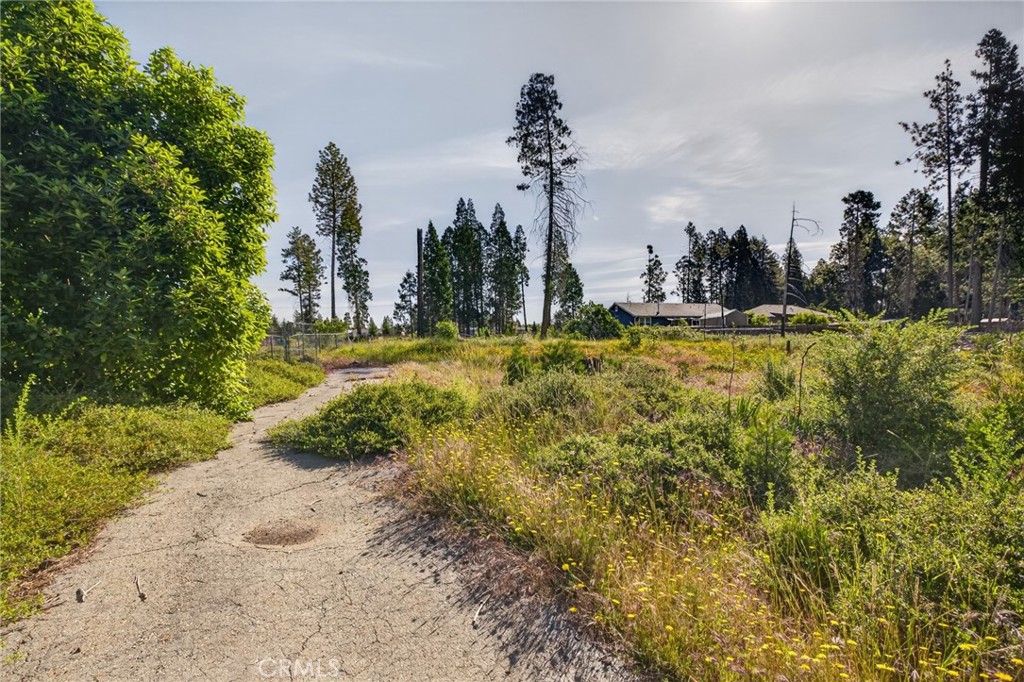 14110 Wingate Property Photo 1