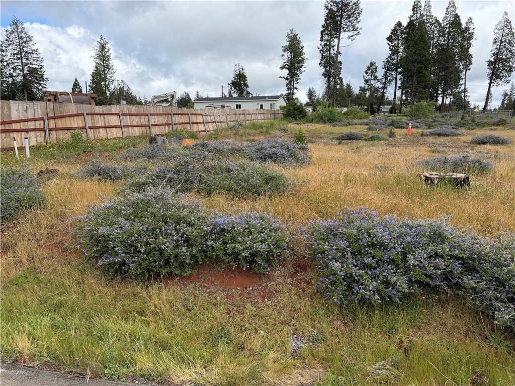 14110 Wingate Property Photo 7
