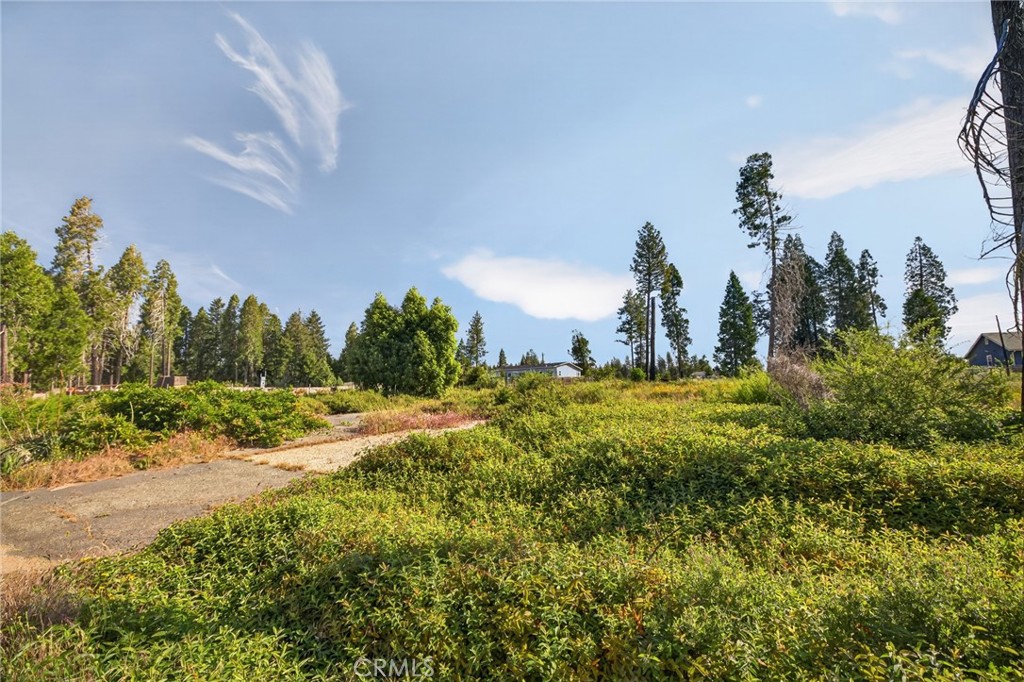 14116 Wingate Property Photo 1