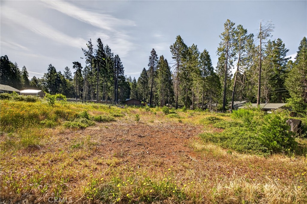 14116 Wingate Property Photo 2
