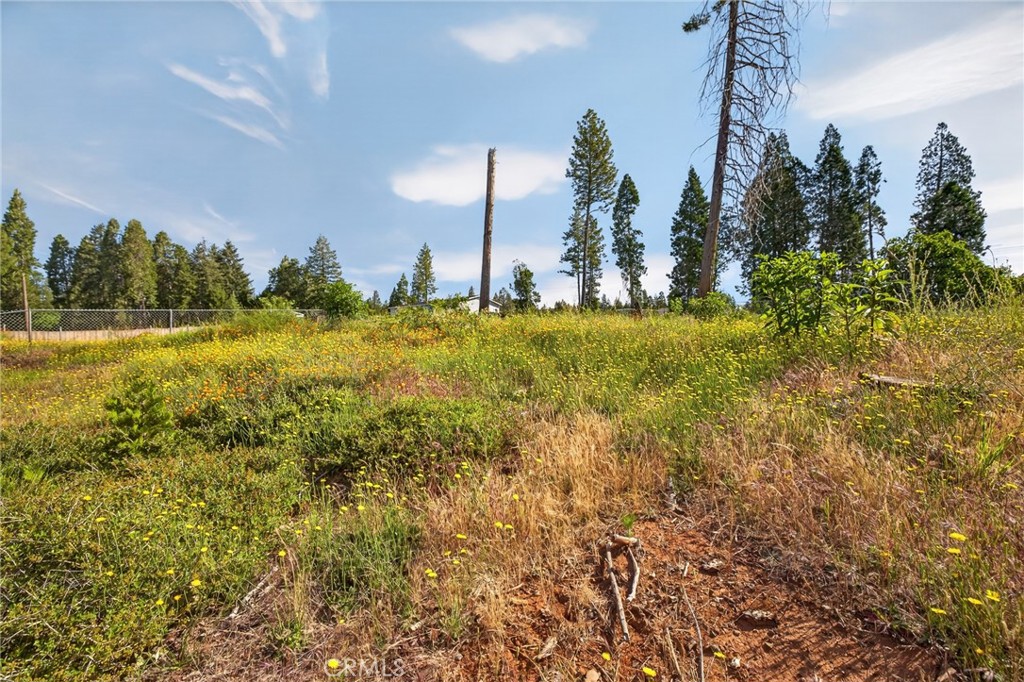 14116 Wingate Property Photo 6