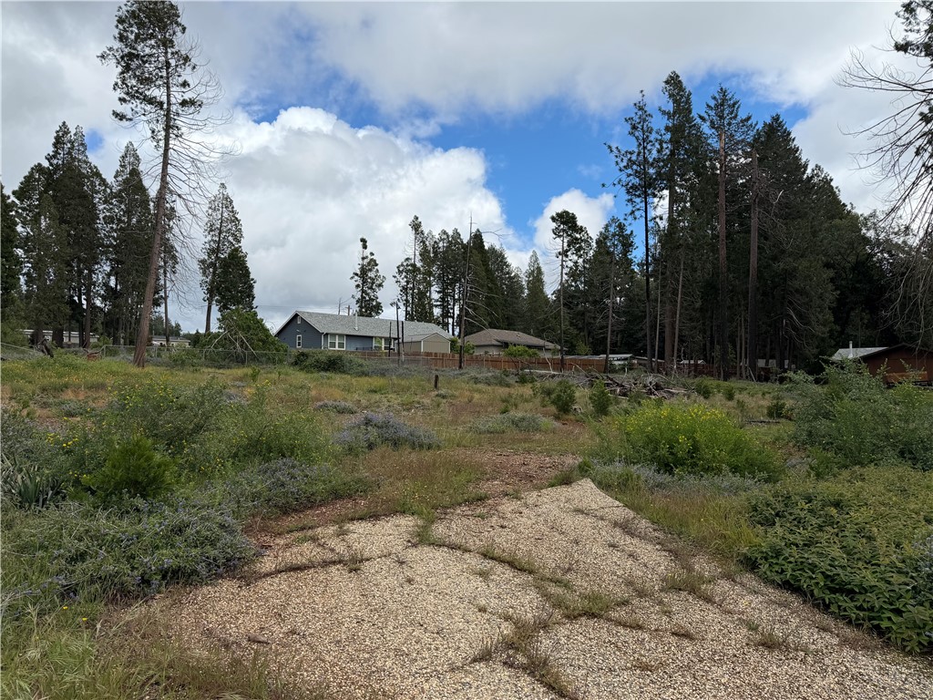 14116 Wingate Property Photo 9