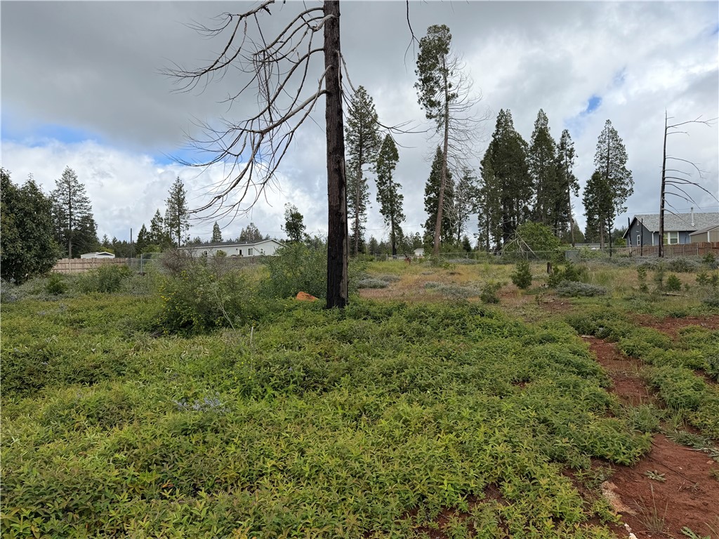 14116 Wingate Property Photo 10