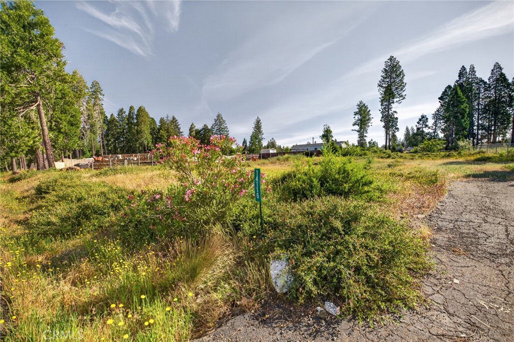 14116 Wingate Property Photo 16