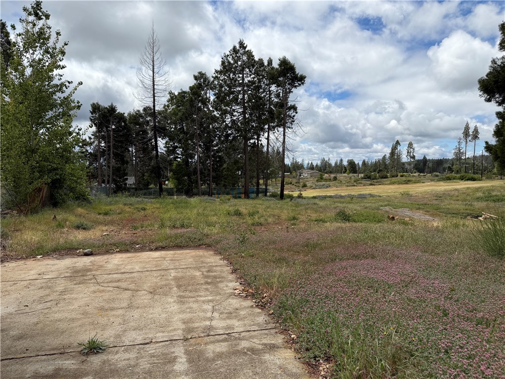 13667 Endicot Property Photo 1
