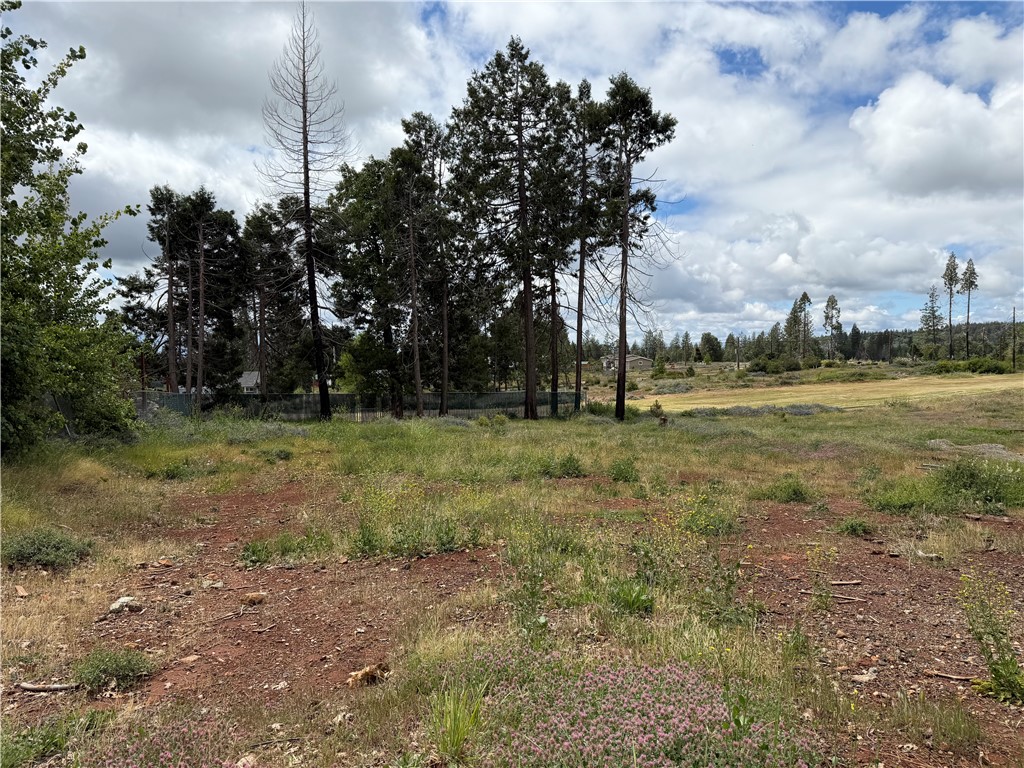 13667 Endicot Property Photo 2