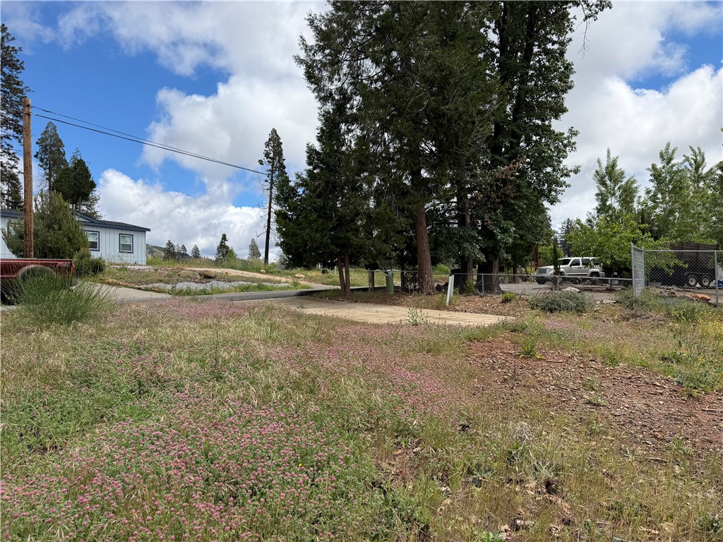 13667 Endicot Property Photo 3