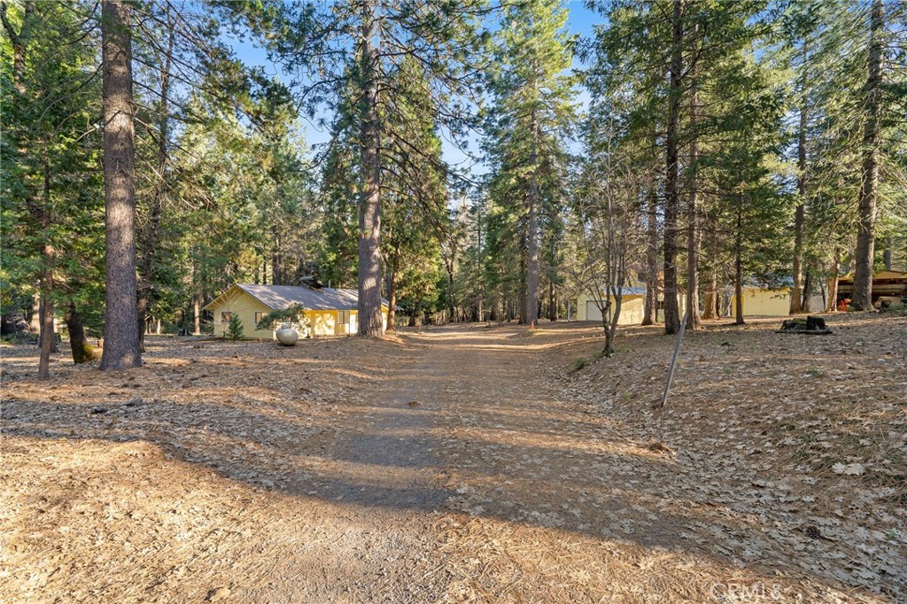 5498 Platt Mountain Property Photo 47