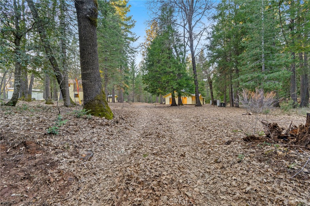 5498 Platt Mountain Property Photo 48