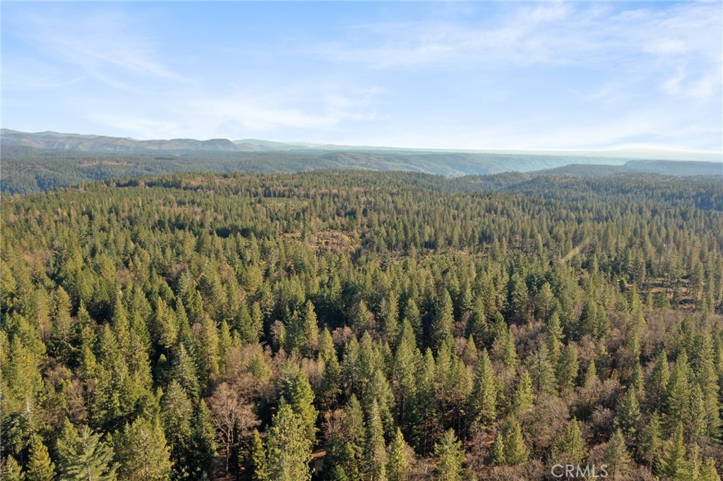 5498 Platt Mountain Property Photo 55