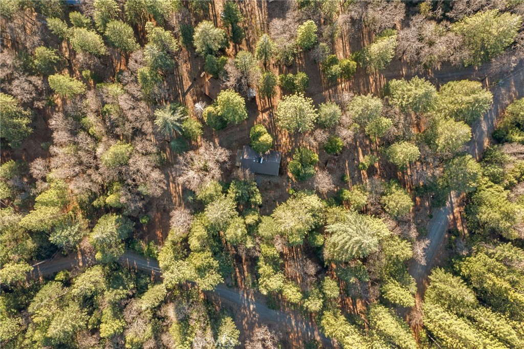 5498 Platt Mountain Property Photo 56