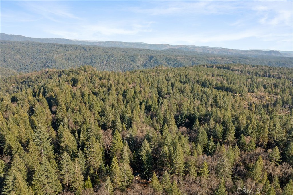 5498 Platt Mountain Property Photo 57