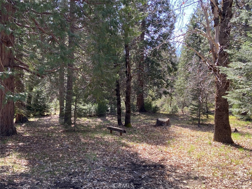 5340 Widow Springs Dr Property Photo 37