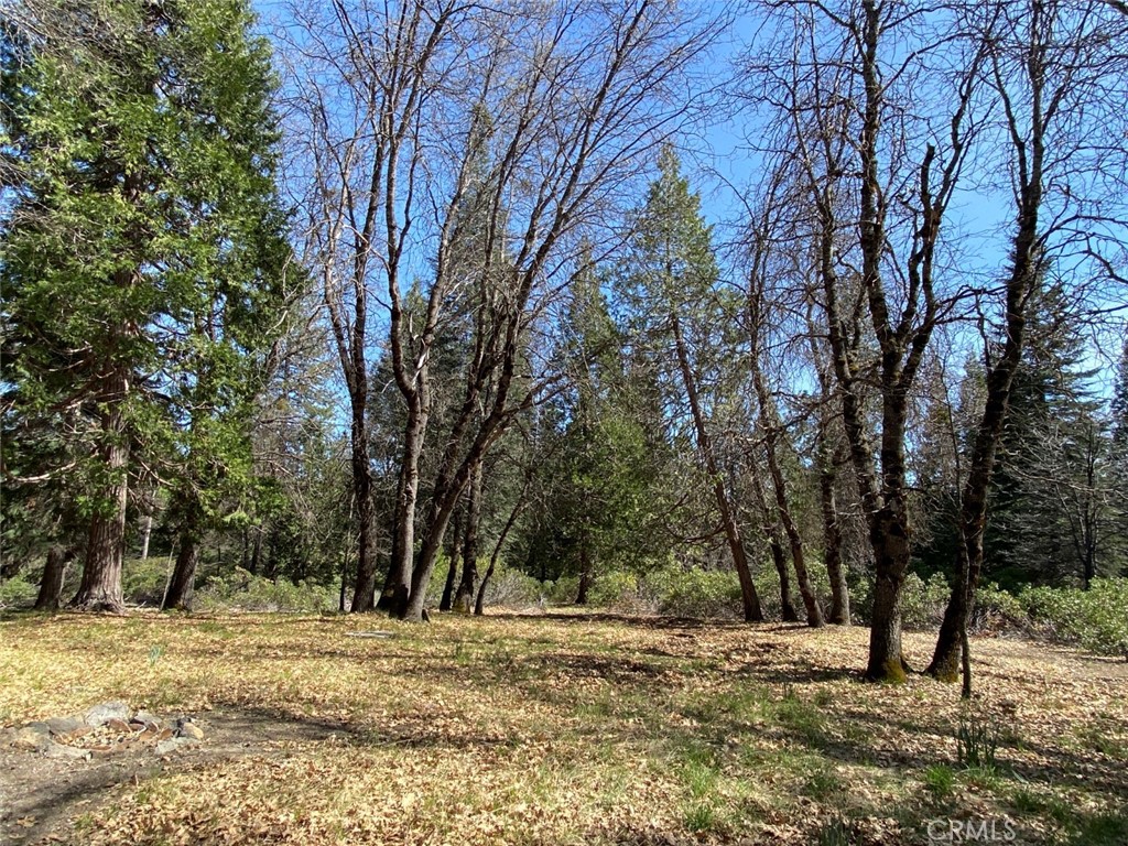 5340 Widow Springs Dr Property Photo 40