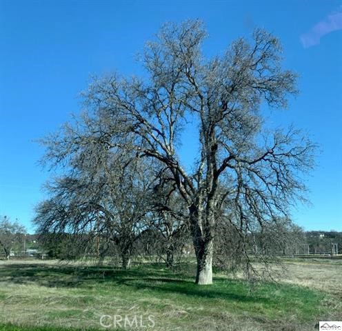 0 Monroe Property Photo 9