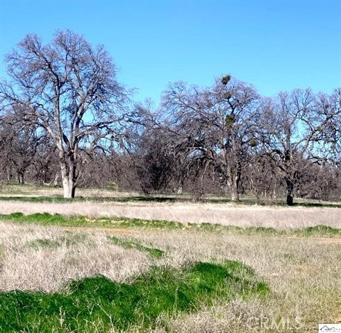 0 Monroe Property Photo 13