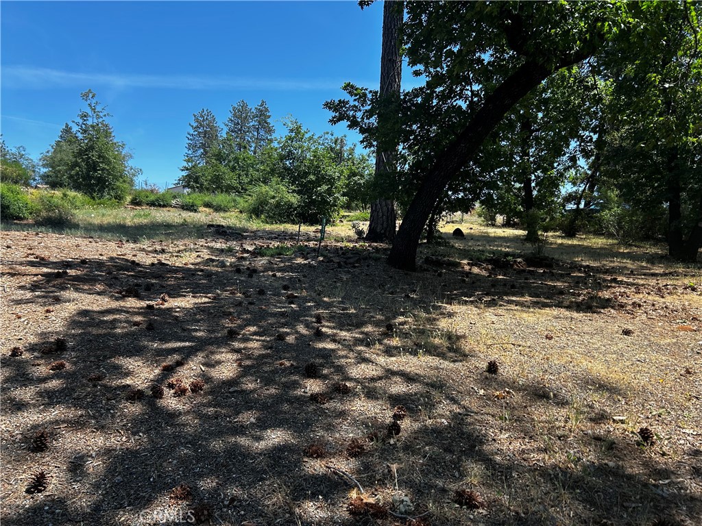 6272 Berkshire Property Photo 1