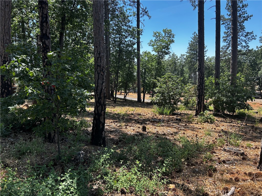 6272 Berkshire Property Photo 2
