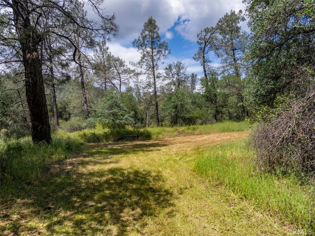 506 Black Canyon Property Photo 1