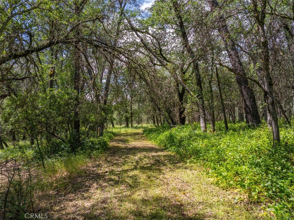 506 Black Canyon Property Photo 2