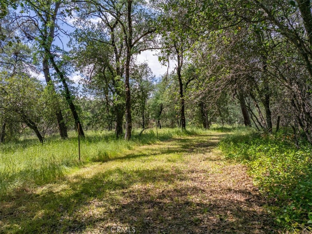506 Black Canyon Property Photo 3