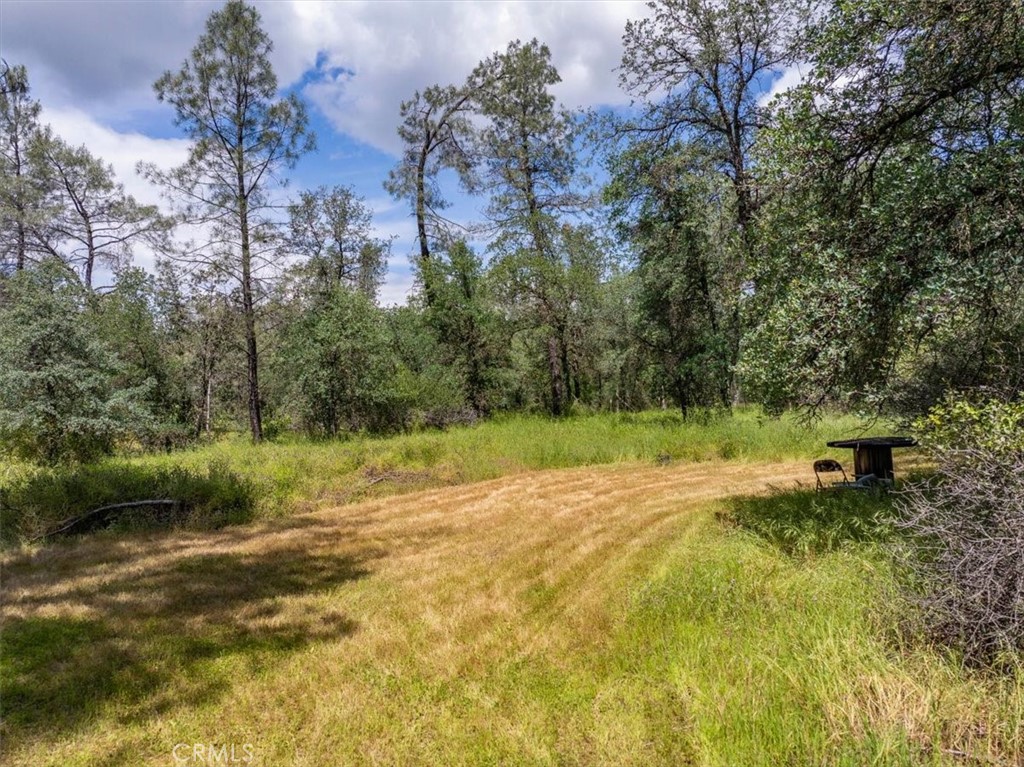 506 Black Canyon Property Photo 4