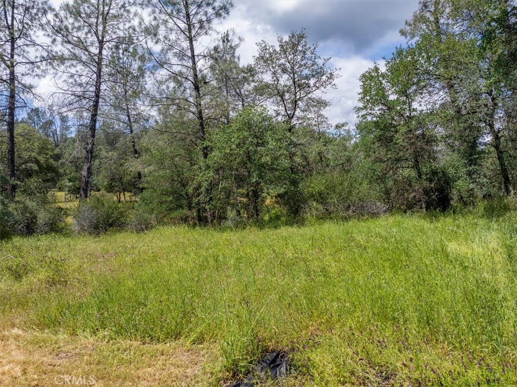 506 Black Canyon Property Photo 5