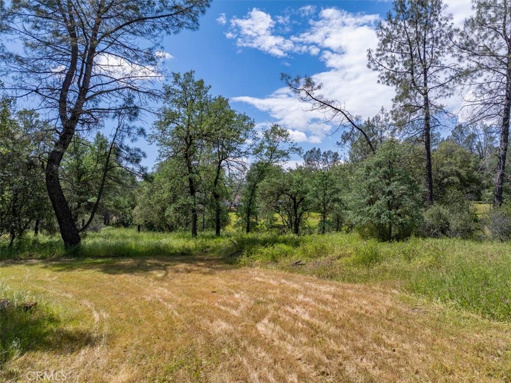 506 Black Canyon Property Photo 6