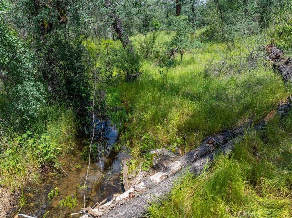 506 Black Canyon Property Photo 7