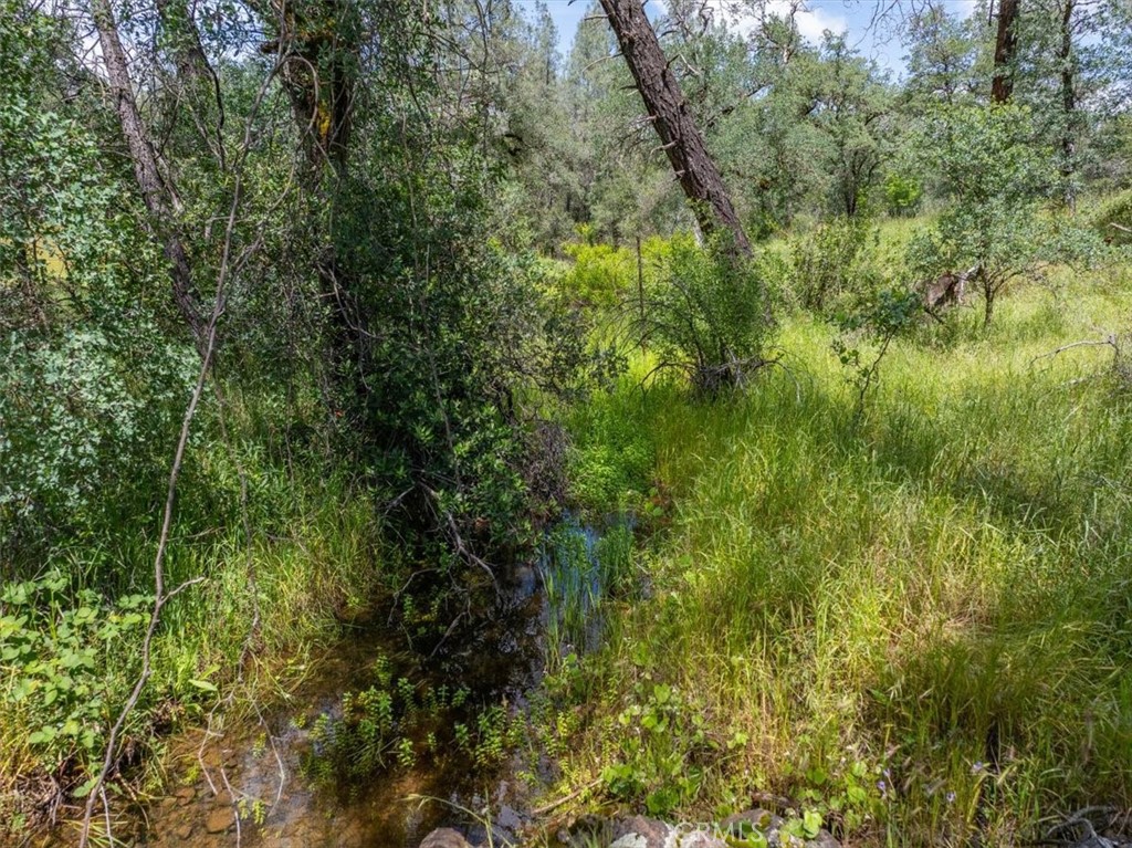 506 Black Canyon Property Photo 8