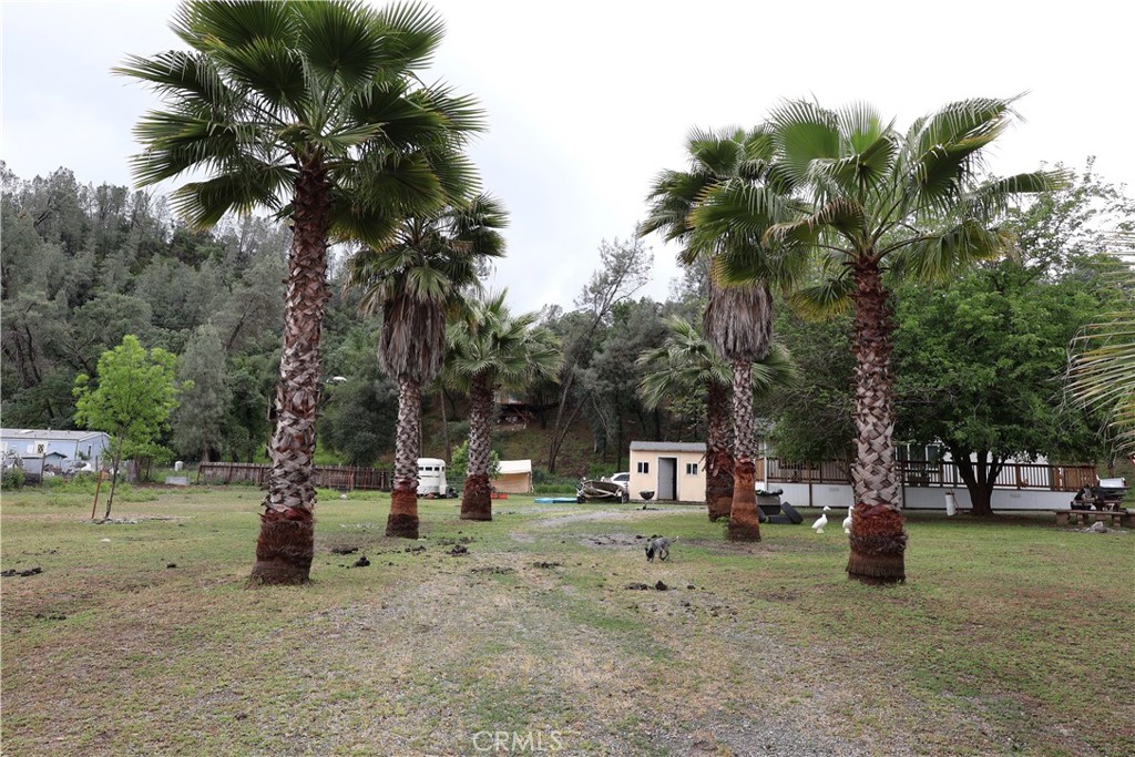 7566 Pebble Beach Dr. Property Photo 49