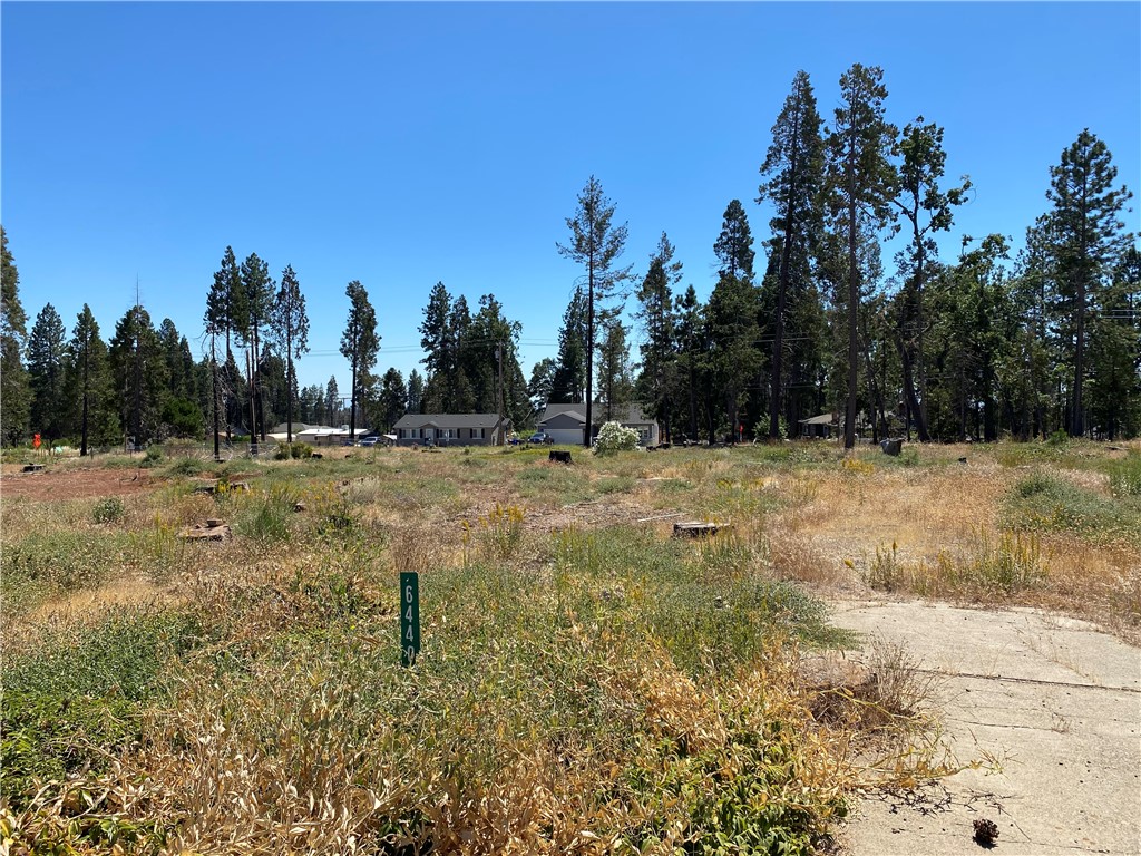 6440 Shaw Circle Property Photo 4