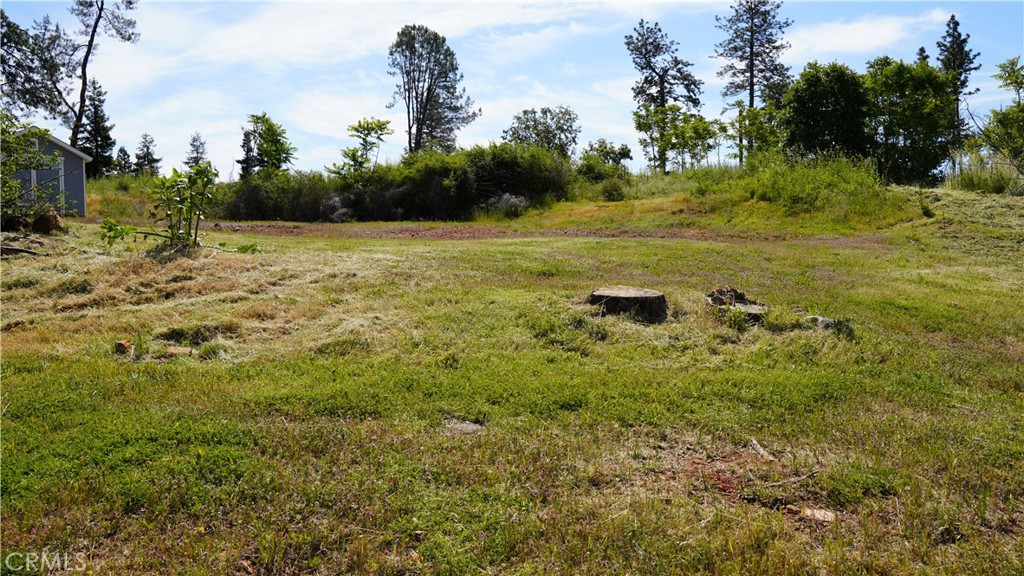220 Foothill Property Photo 7