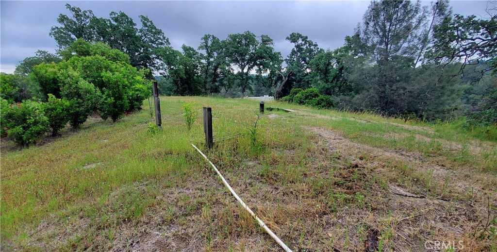7335 Bluebird Property Photo 3