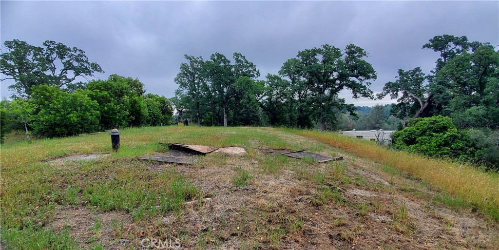 7335 Bluebird Property Photo 4