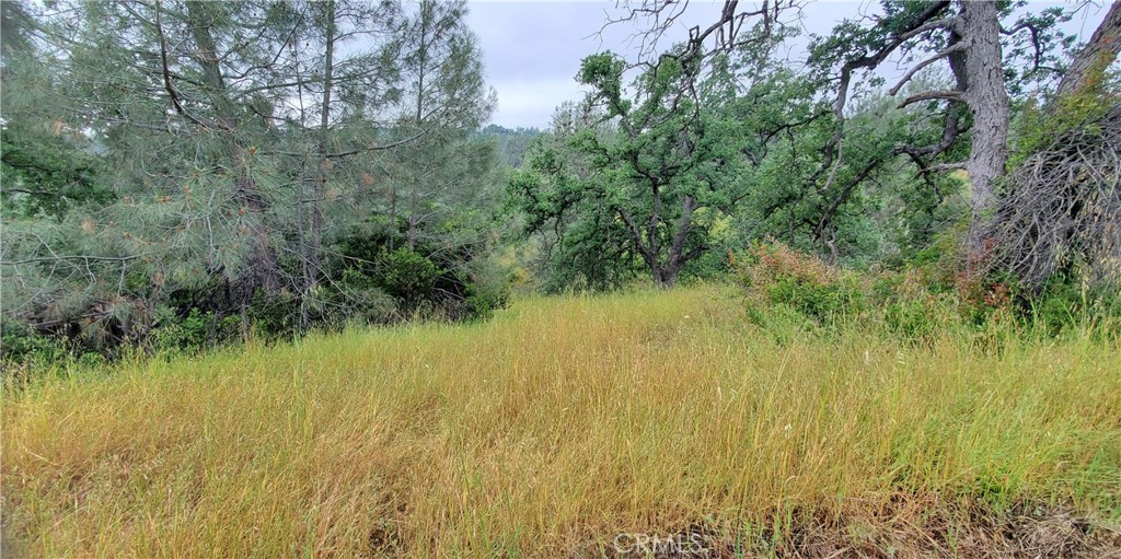 7335 Bluebird Property Photo 5