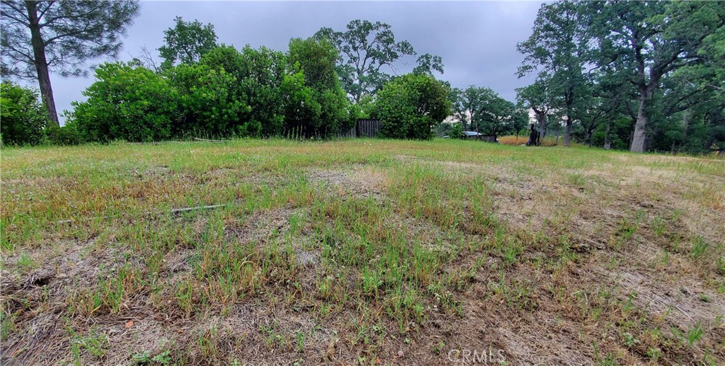 7335 Bluebird Property Photo 6