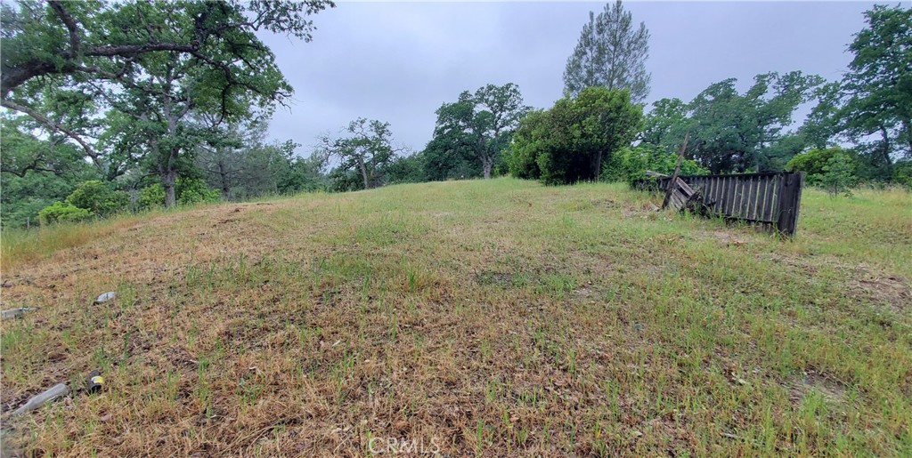 7335 Bluebird Property Photo 7