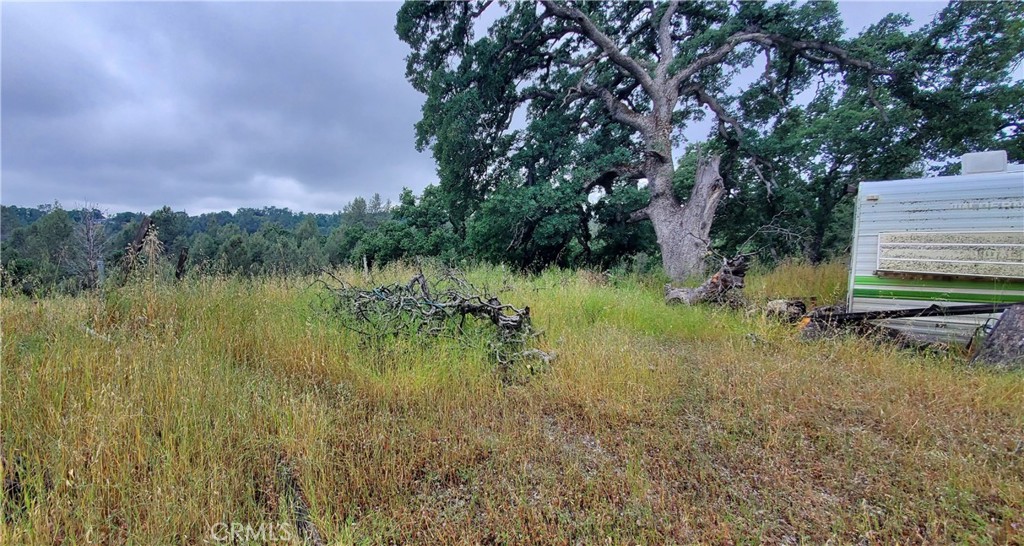 7335 Bluebird Property Photo 9