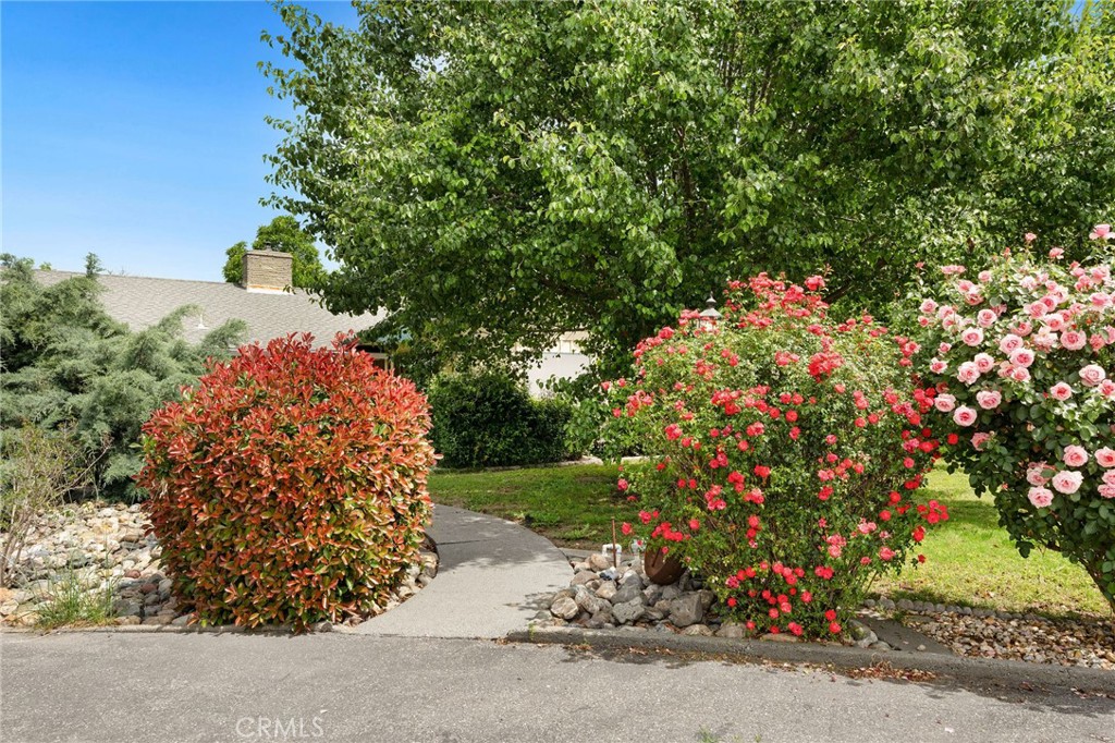 7012 State Highway 32 Property Photo 2