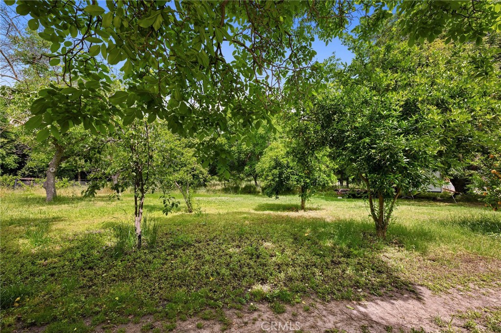 7012 State Highway 32 Property Photo 40