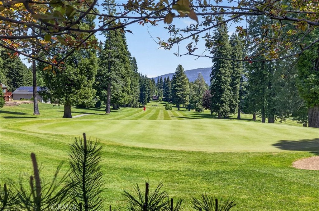 915 Golf Club Property Photo 63