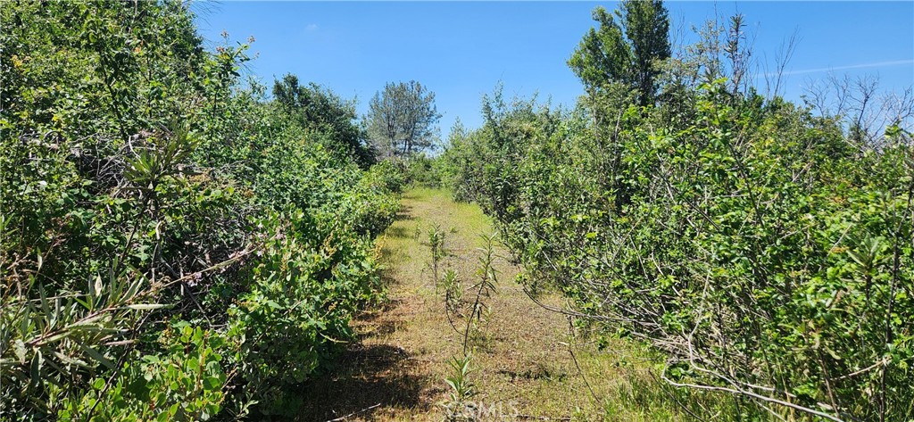 0 Hummer Road Property Photo 7