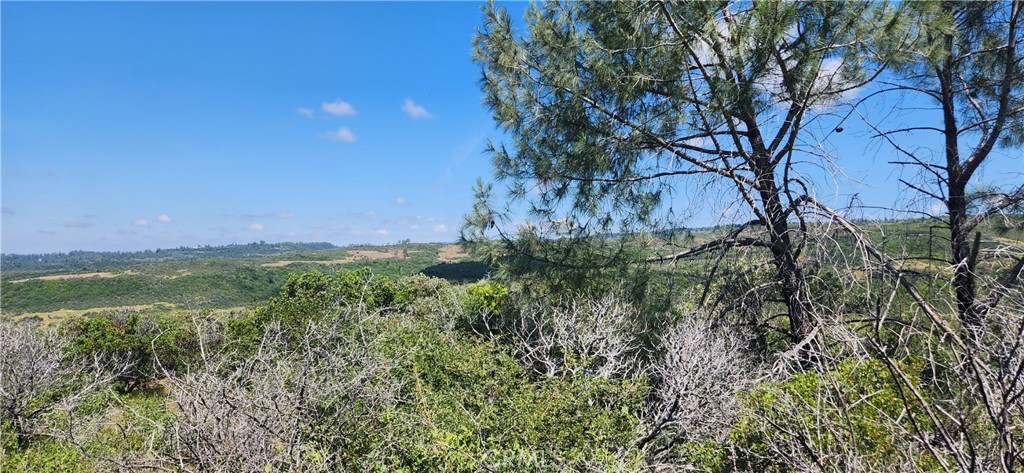 0 Hummer Road Property Photo 10